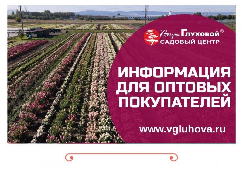 Открыт приём заказов на саженцы гортензий - ВЕСНА 2023г.