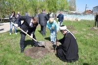 Здесь будет сад фруктовый заложен!