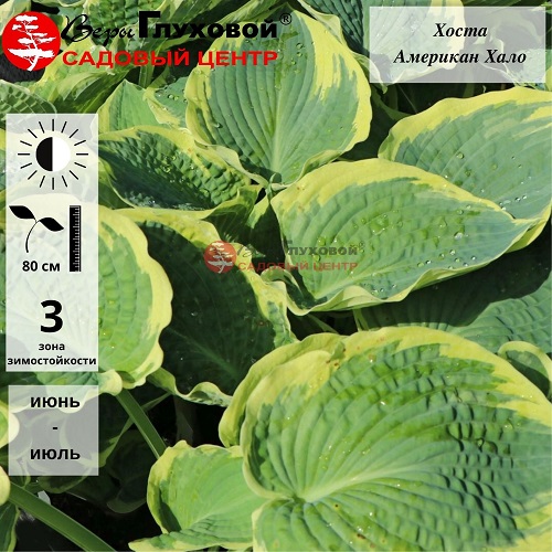 Основное изображение товара