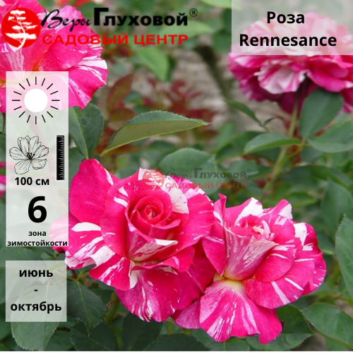 Основное изображение товара