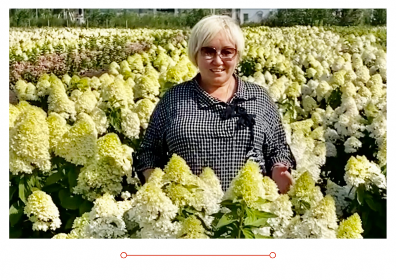 Россия 1 новый выпуск от 04.07.2021 Гортензия - королева сада