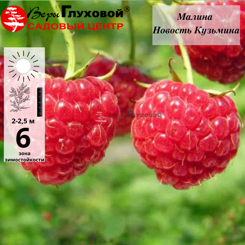 Основное изображение товара