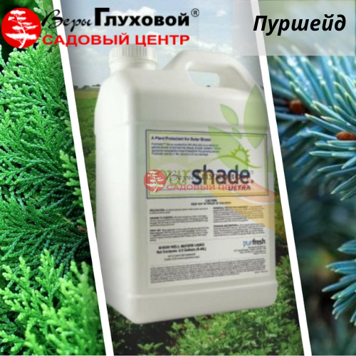 Основное изображение товара