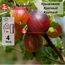 Основное изображение товара