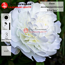 Основное изображение товара