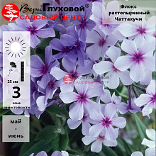 Основное изображение товара