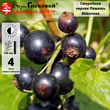 Рисунок 251.jpg