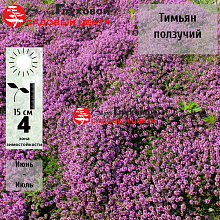 Основное изображение товара