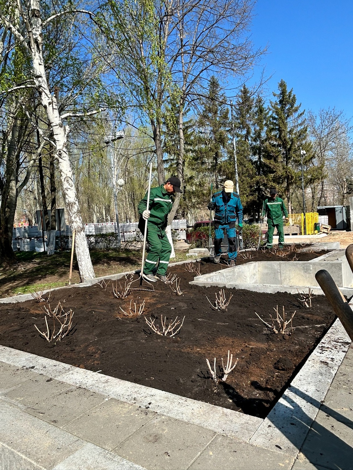 САМАРСКАЯ ЛИДИЯ – ЦВЕТУЩИЙ СИМВОЛ ПАМЯТИ И СЛАВЫ! 