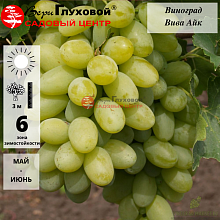 Основное изображение товара